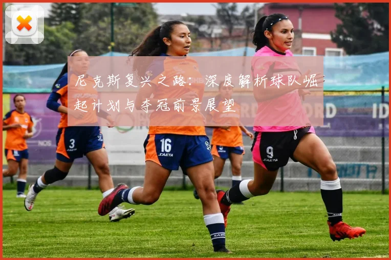 尼克斯复兴之路：深度解析球队崛起计划与夺冠前景展望