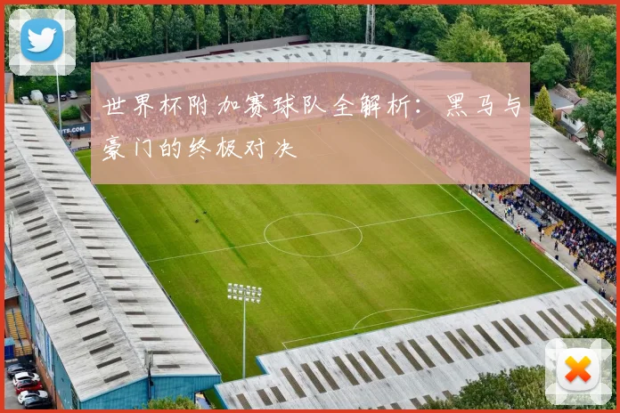 世界杯附加赛球队全解析：黑马与豪门的终极对决