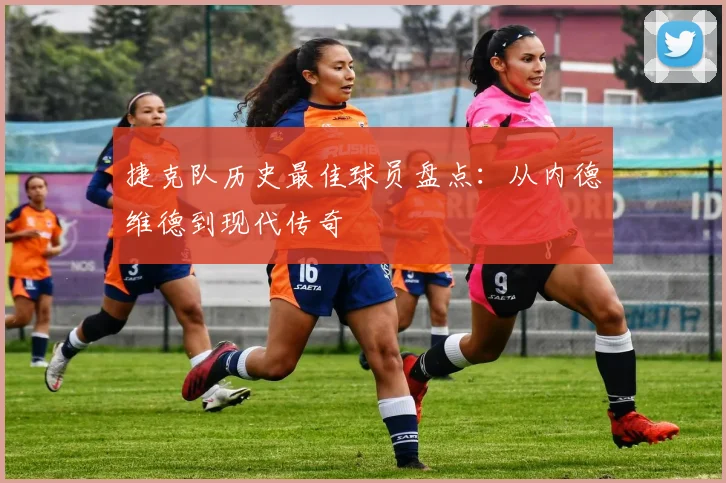 捷克队历史最佳球员盘点：从内德维德到现代传奇